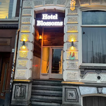 布洛瑟姆城酒店 2*