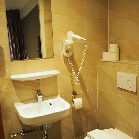 Blossoms City Hotel Hotel 2*