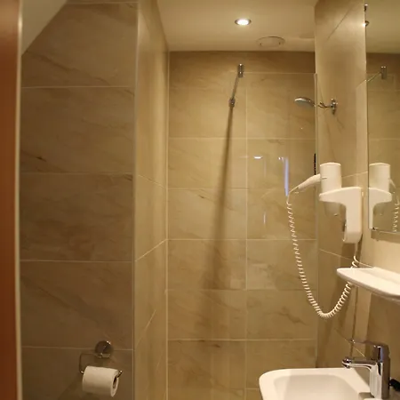 Blossoms City Hotel Hotel 2*